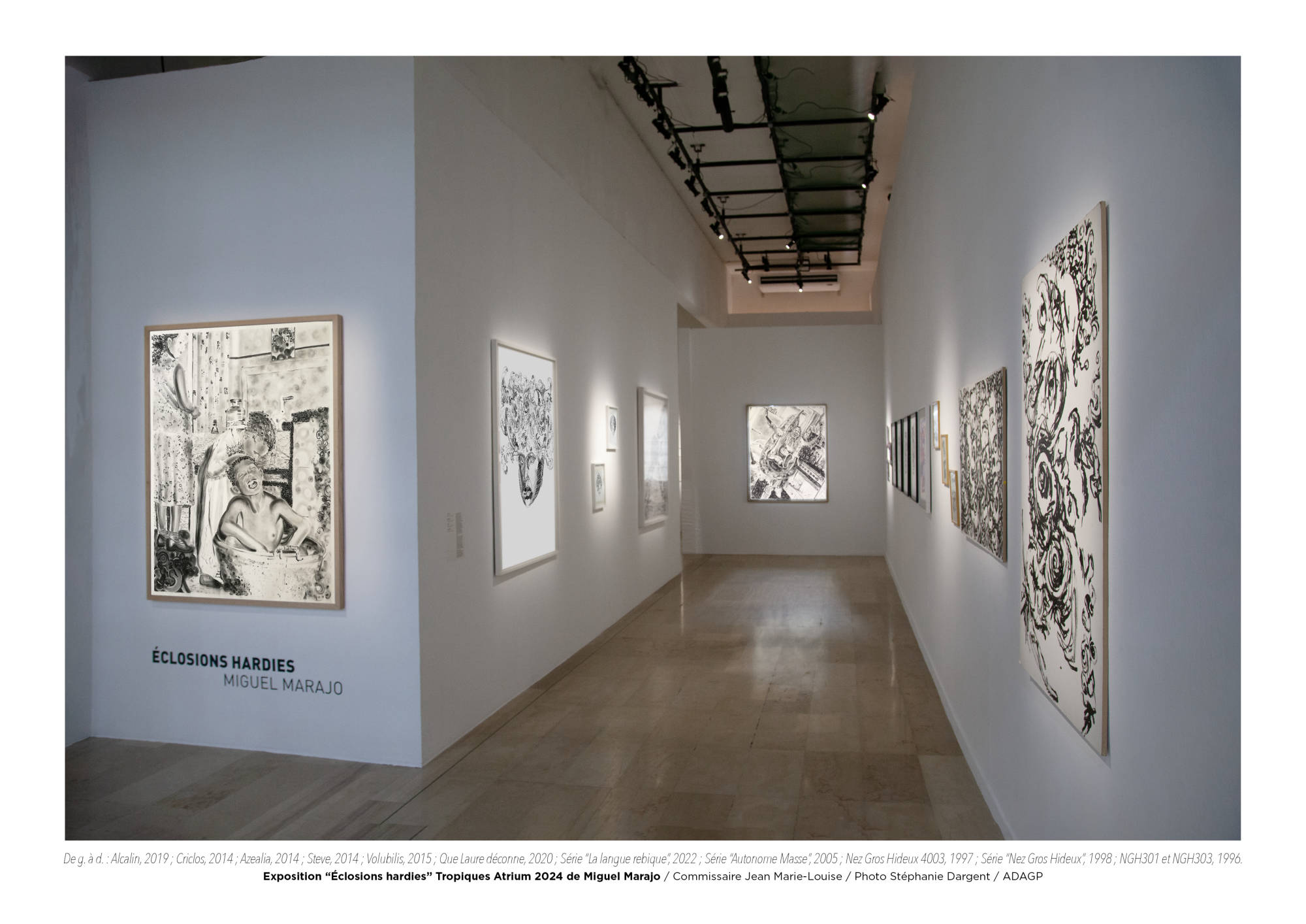 Éclosions hardies / Miguel Marajo
