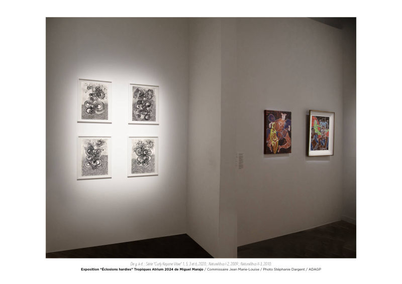 Éclosions hardies / Miguel Marajo
