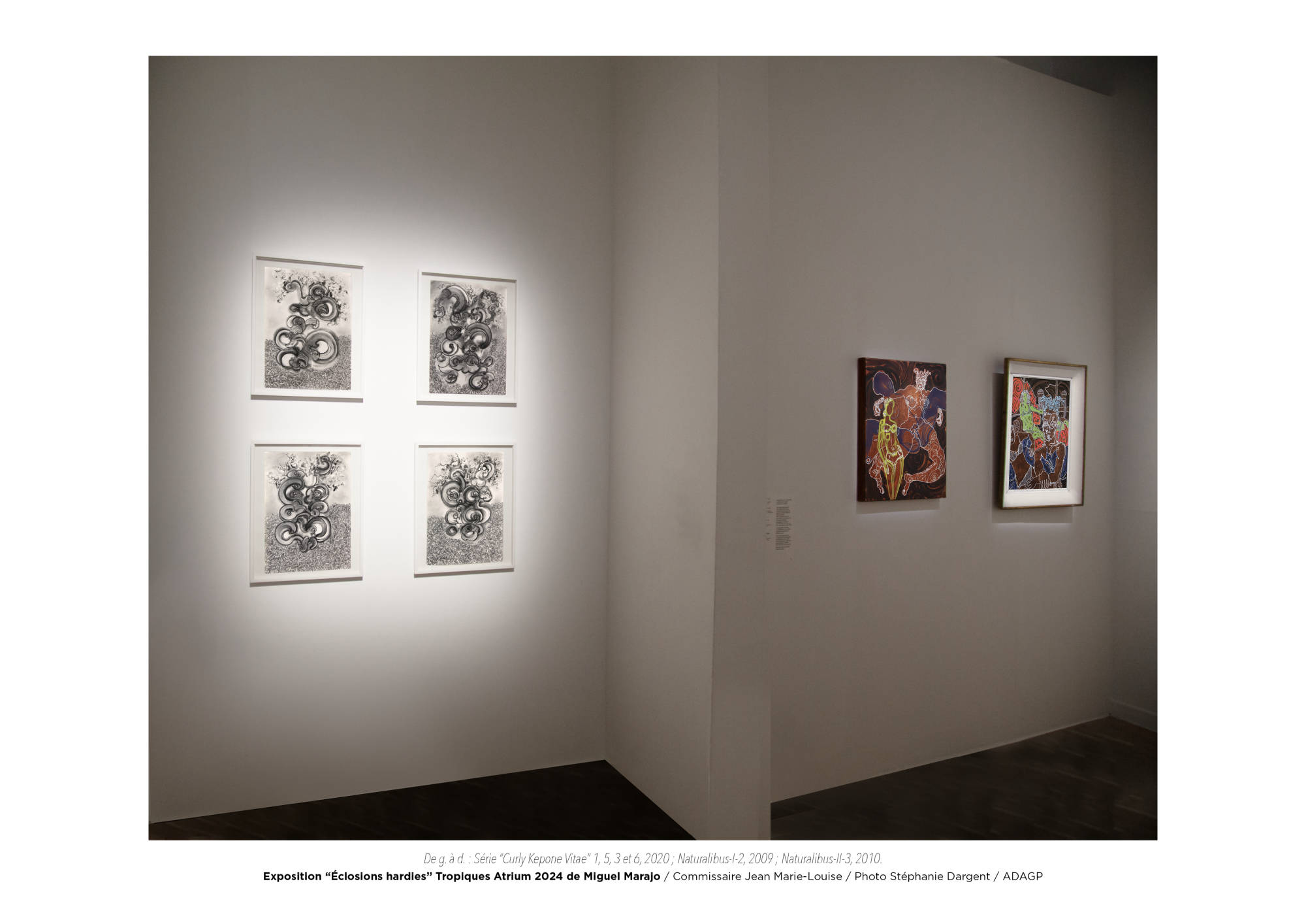 Éclosions hardies / Miguel Marajo