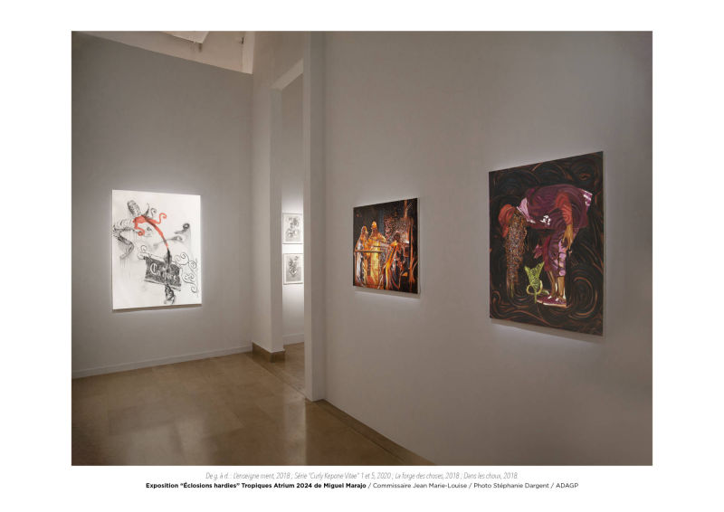 Éclosions hardies / Miguel Marajo