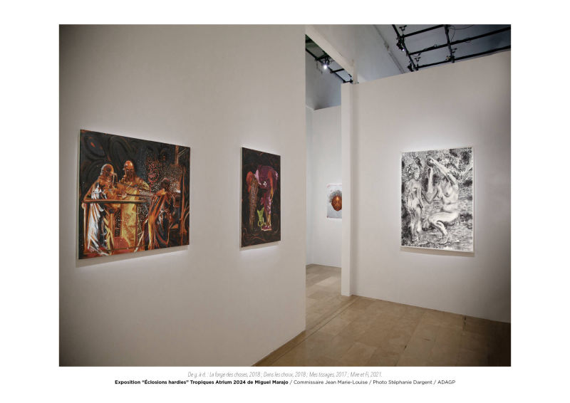 Éclosions hardies / Miguel Marajo