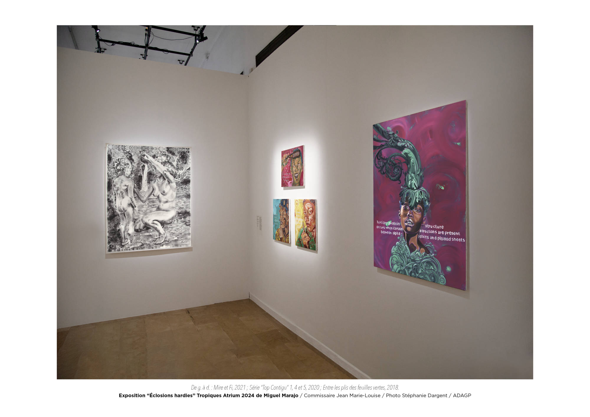 Éclosions hardies / Miguel Marajo