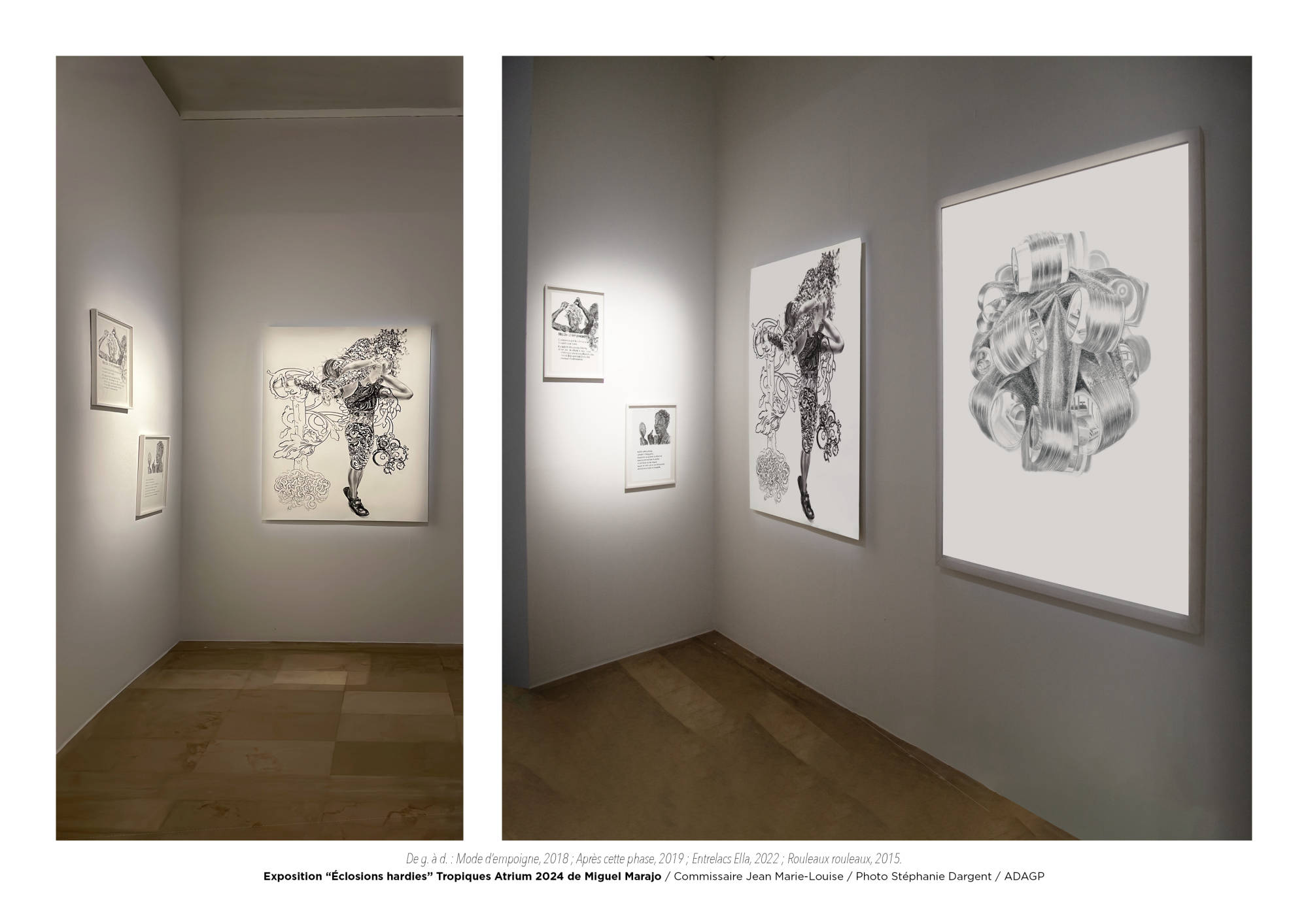 Éclosions hardies / Miguel Marajo