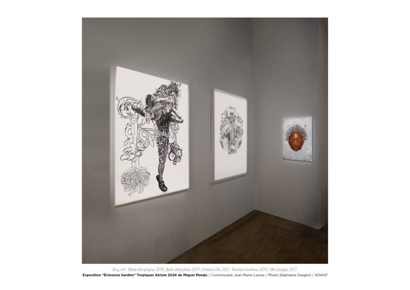 Éclosions hardies / Miguel Marajo