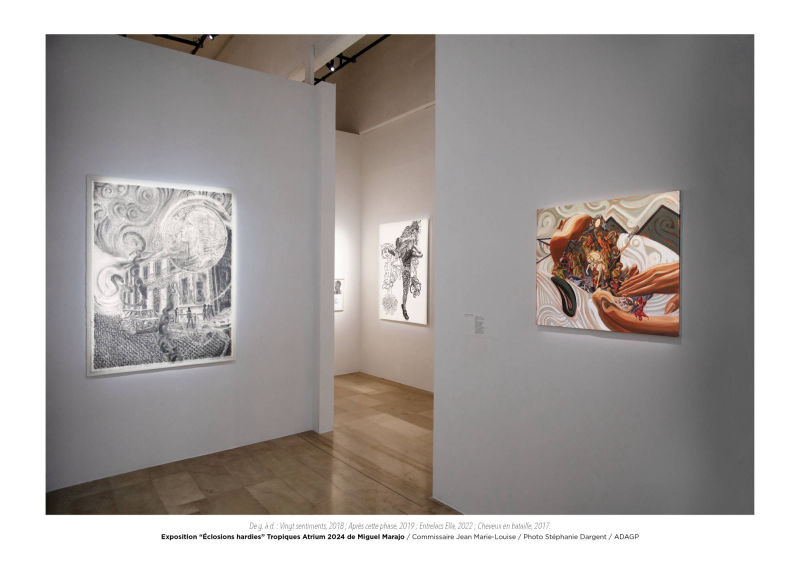Éclosions hardies / Miguel Marajo