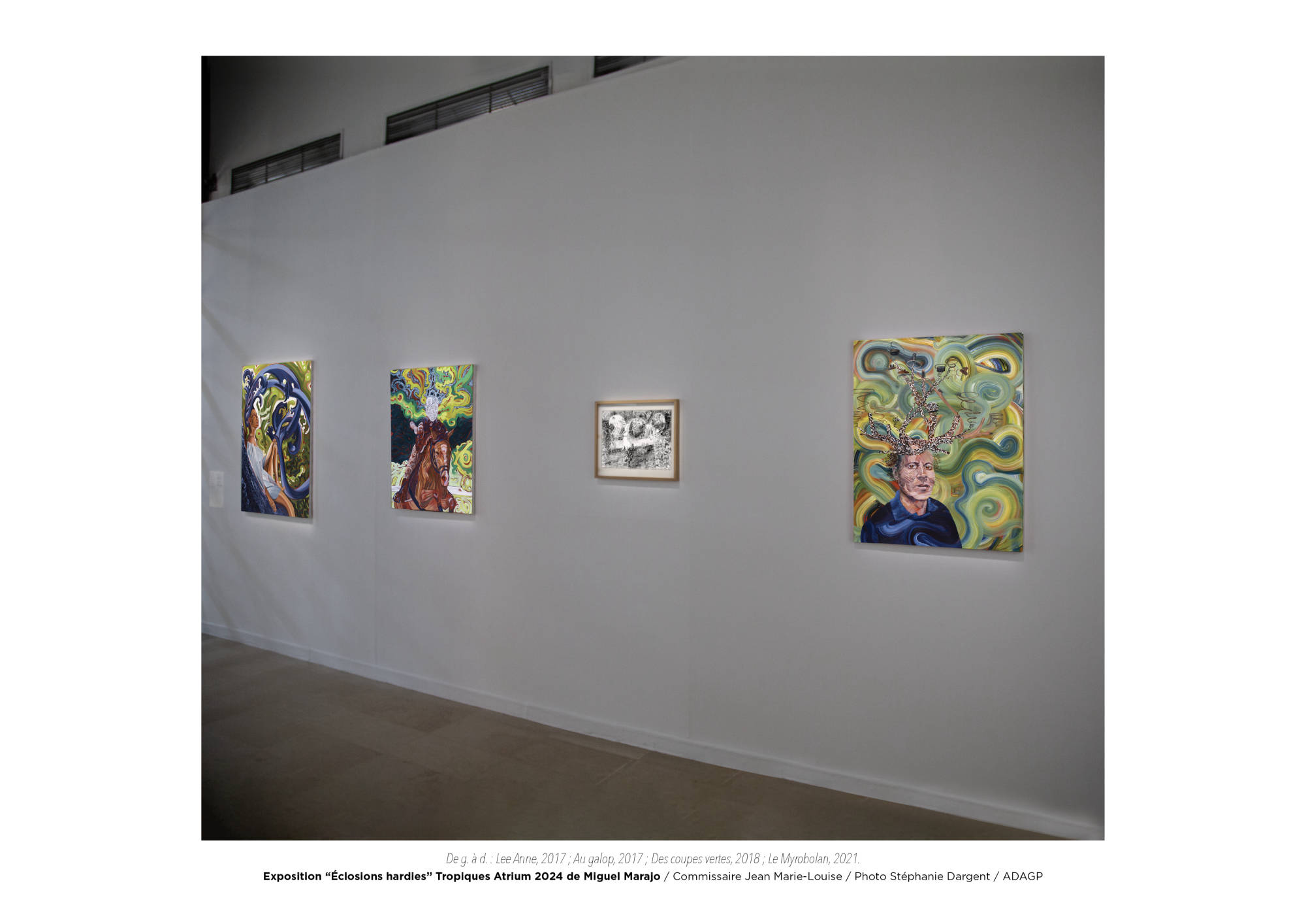 Éclosions hardies / Miguel Marajo