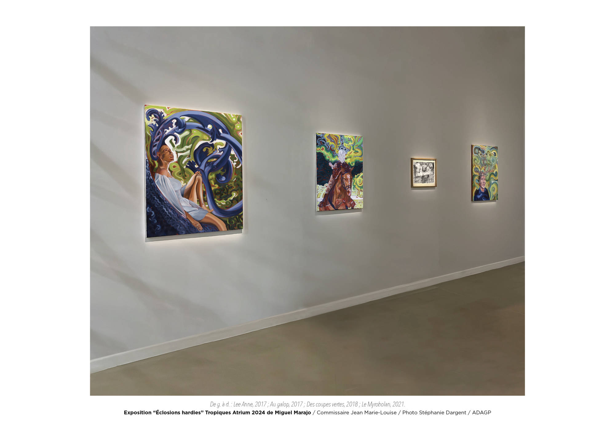 Éclosions hardies / Miguel Marajo