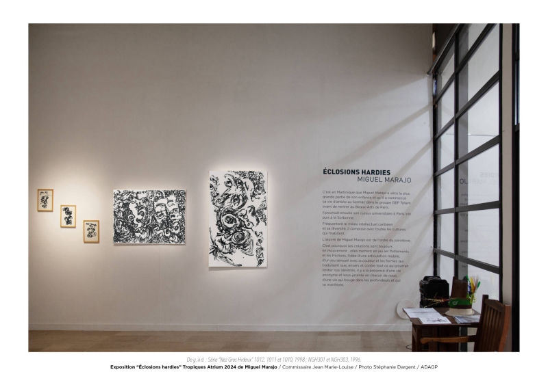 Éclosions hardies / Miguel Marajo