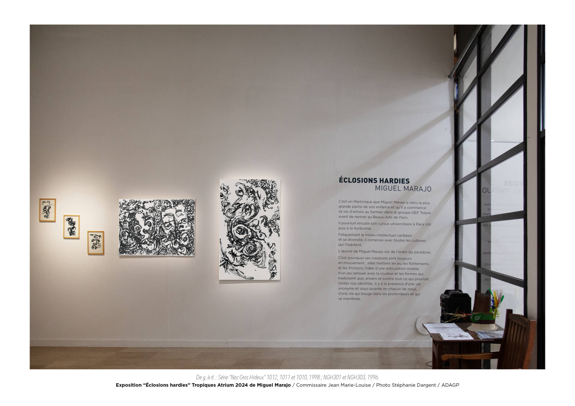 Éclosions hardies / Miguel Marajo