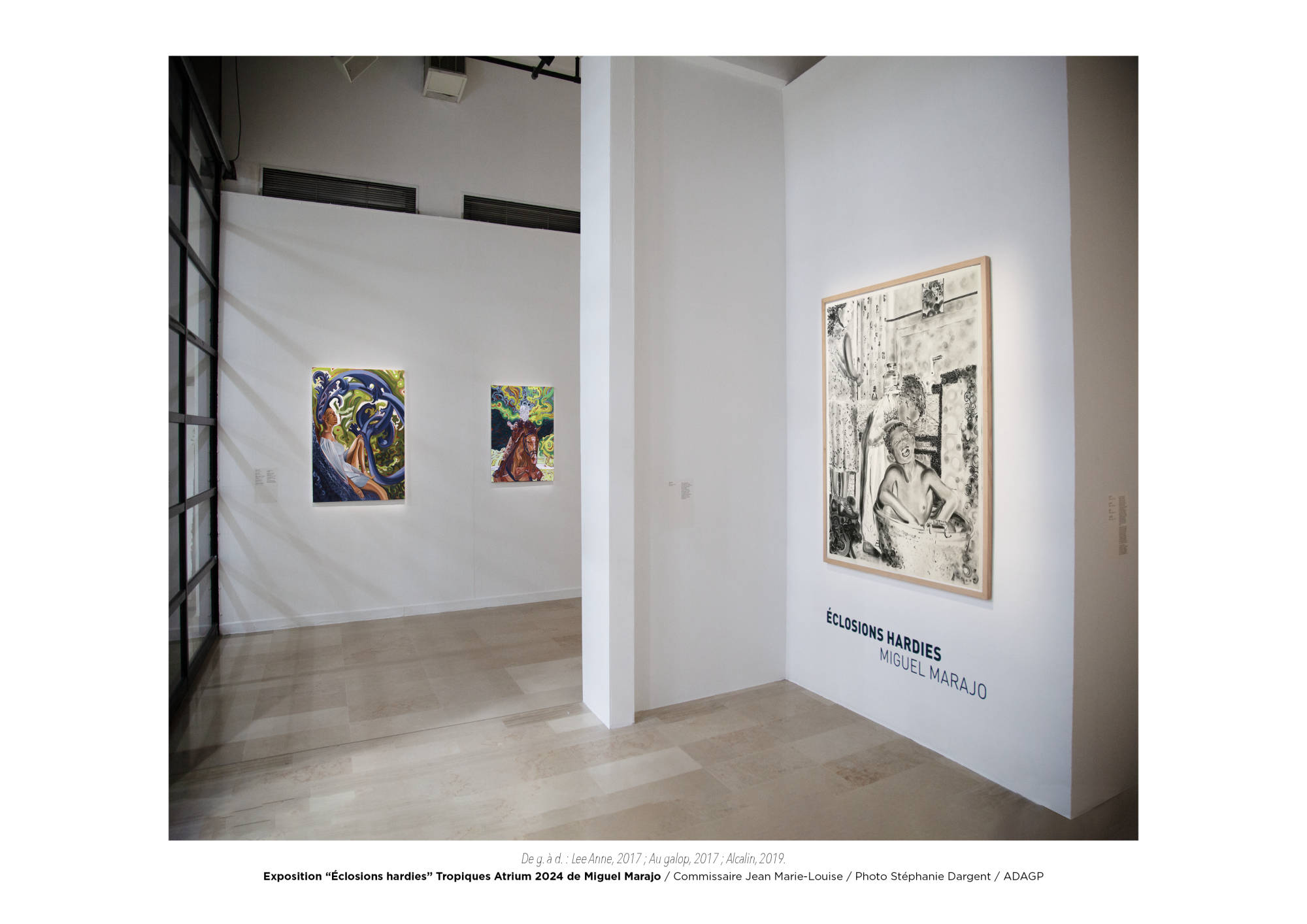 Éclosions hardies / Miguel Marajo