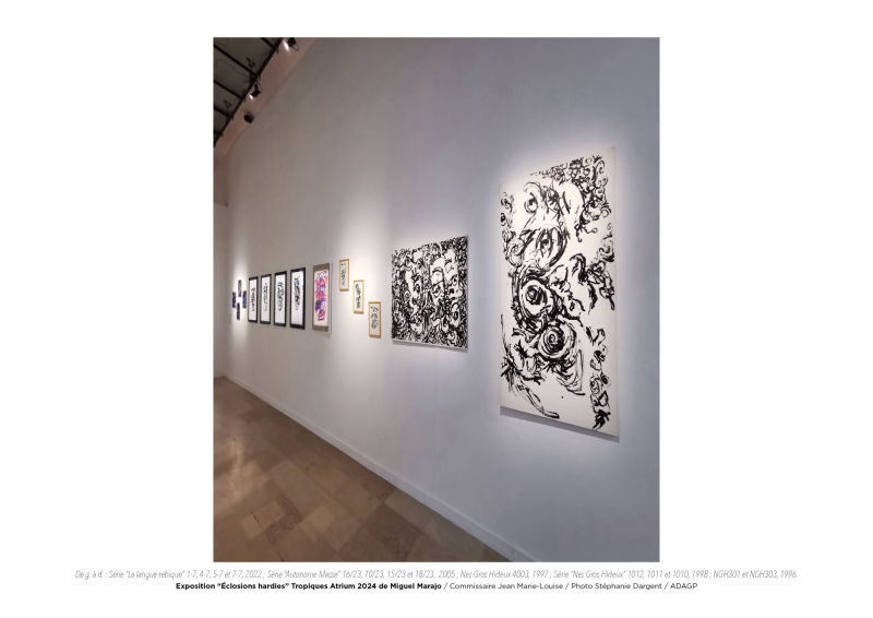 Éclosions hardies / Miguel Marajo