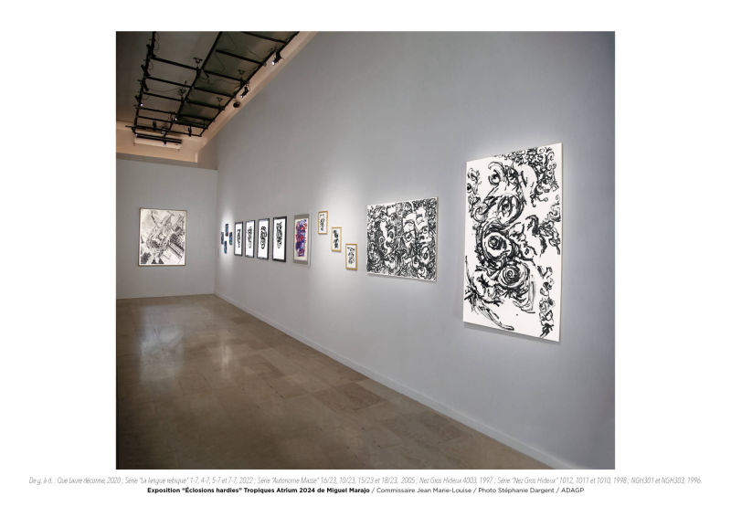 Éclosions hardies / Miguel Marajo