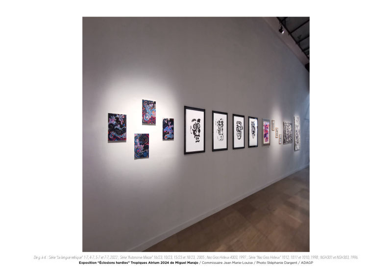 Éclosions hardies / Miguel Marajo