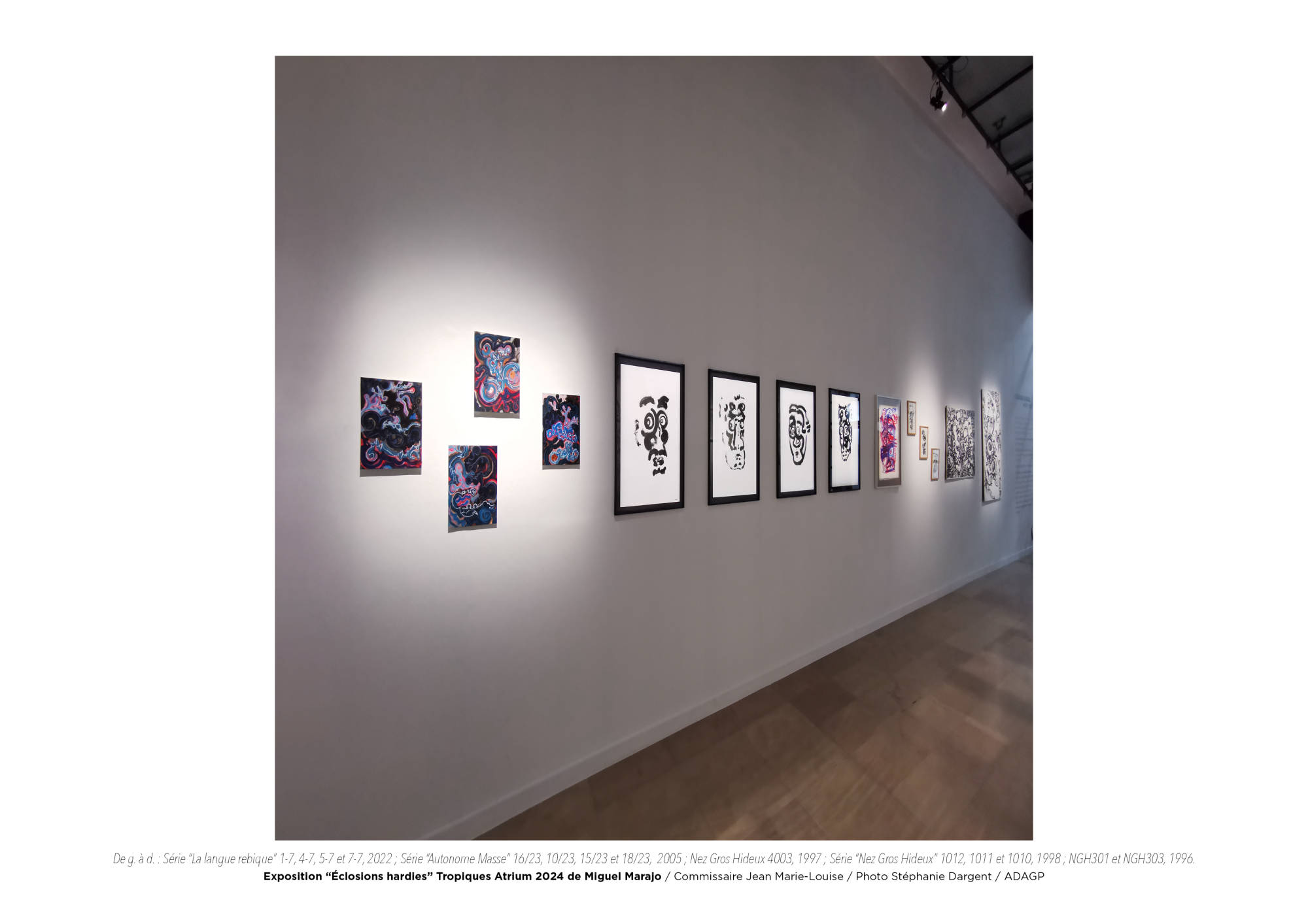 Éclosions hardies / Miguel Marajo