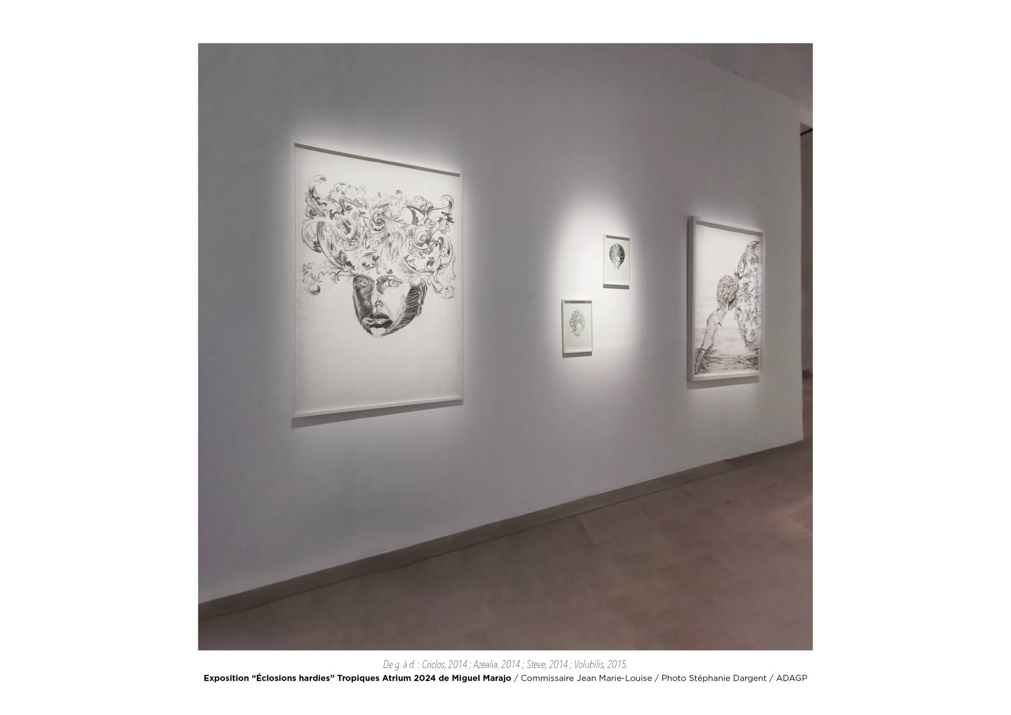 Éclosions hardies / Miguel Marajo
