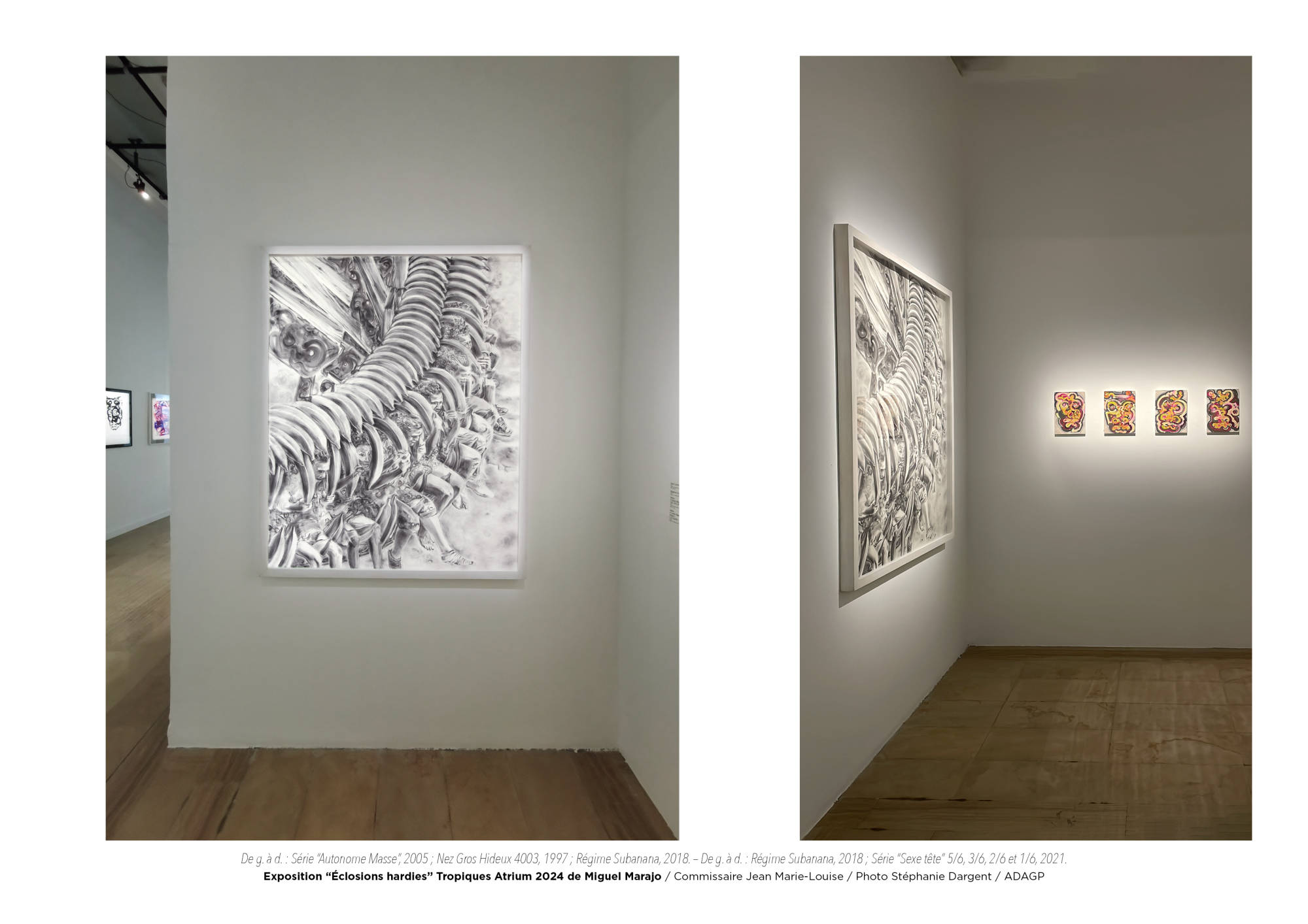 Éclosions hardies / Miguel Marajo