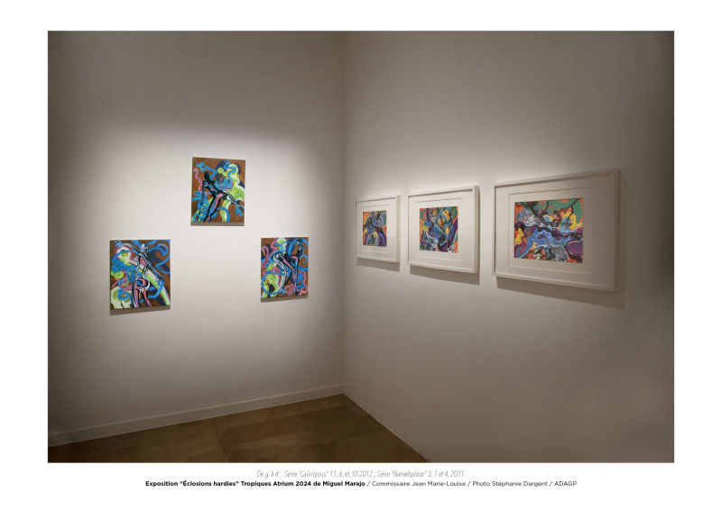 Éclosions hardies / Miguel Marajo