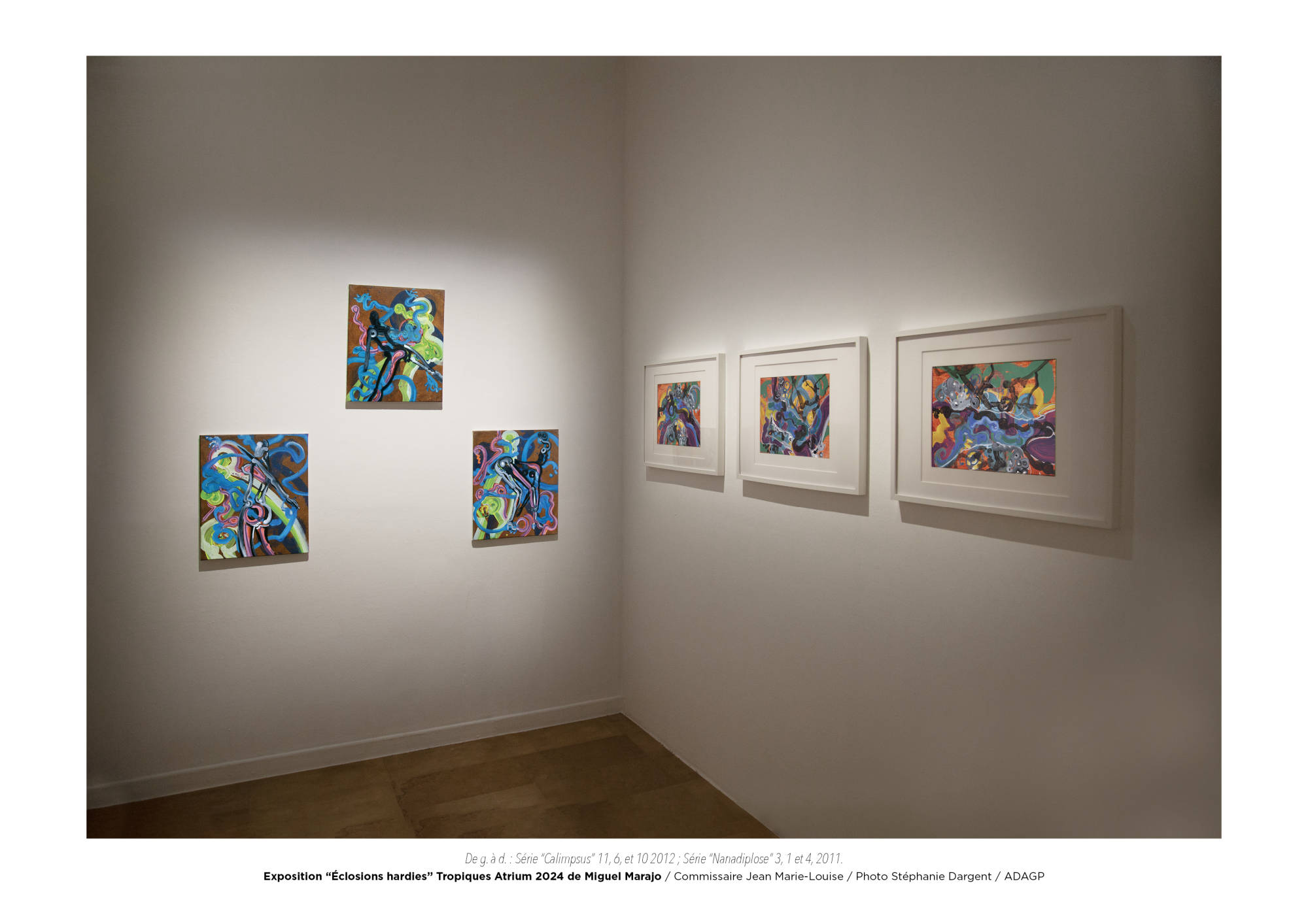 Éclosions hardies / Miguel Marajo